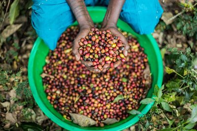What to Expect from The African Coffee Experience